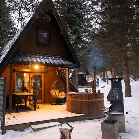 Вилла Oliwne Wzgorza Строне-Слёнске Экстерьер фото